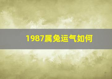 1987属兔运气如何