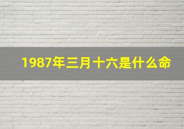 1987年三月十六是什么命