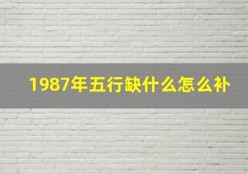 1987年五行缺什么怎么补