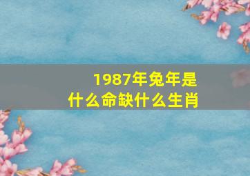 1987年兔年是什么命缺什么生肖