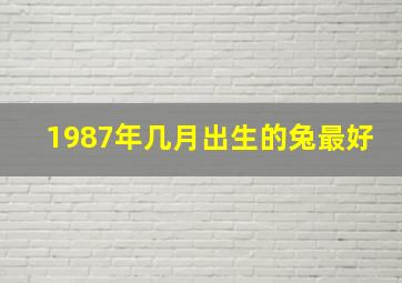 1987年几月出生的兔最好