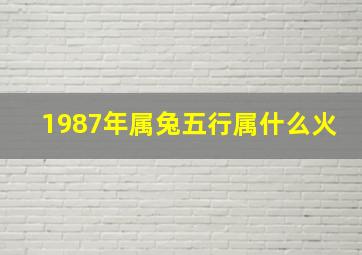 1987年属兔五行属什么火