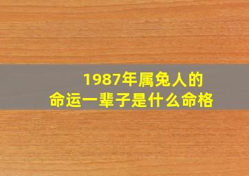 1987年属兔人的命运一辈子是什么命格