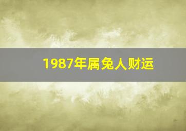 1987年属兔人财运