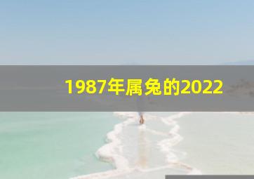 1987年属兔的2022