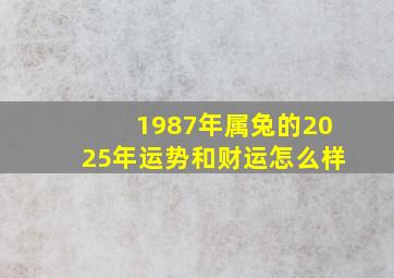 1987年属兔的2025年运势和财运怎么样