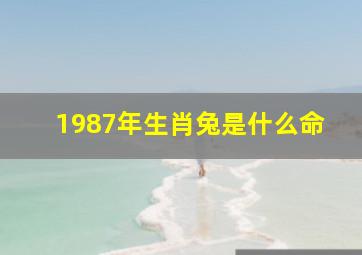 1987年生肖兔是什么命