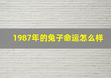 1987年的兔子命运怎么样