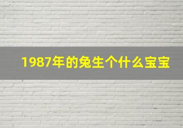 1987年的兔生个什么宝宝