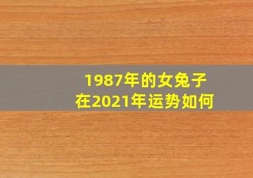 1987年的女兔子在2021年运势如何