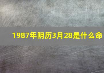 1987年阴历3月28是什么命