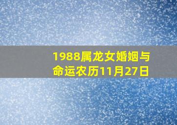 1988属龙女婚姻与命运农历11月27日