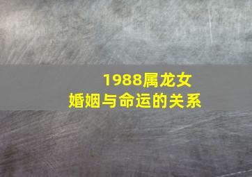 1988属龙女婚姻与命运的关系