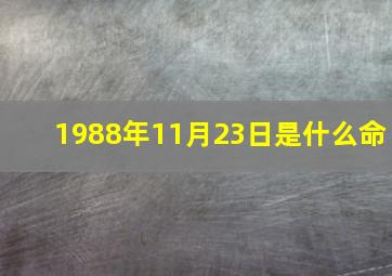 1988年11月23日是什么命