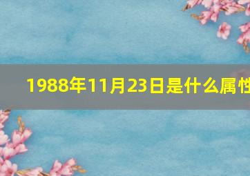 1988年11月23日是什么属性