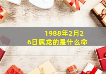 1988年2月26日属龙的是什么命