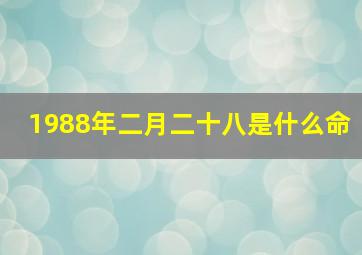 1988年二月二十八是什么命