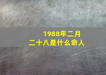 1988年二月二十八是什么命人