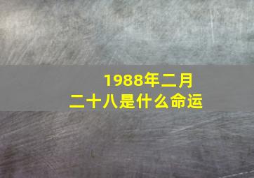 1988年二月二十八是什么命运