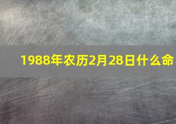 1988年农历2月28日什么命