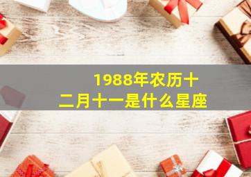 1988年农历十二月十一是什么星座