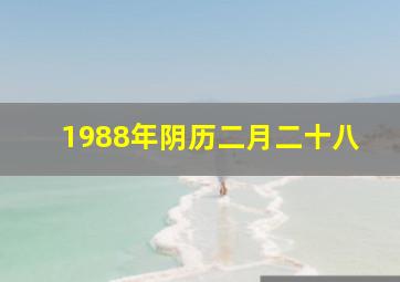 1988年阴历二月二十八