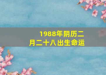 1988年阴历二月二十八出生命运