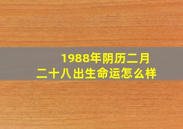 1988年阴历二月二十八出生命运怎么样