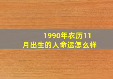 1990年农历11月出生的人命运怎么样