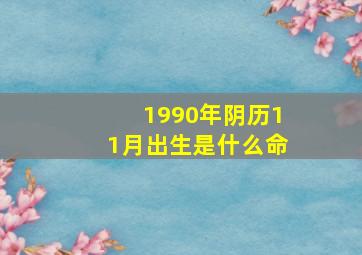 1990年阴历11月出生是什么命