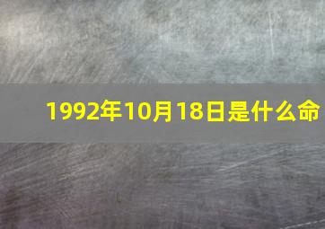 1992年10月18日是什么命