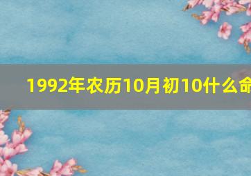 1992年农历10月初10什么命