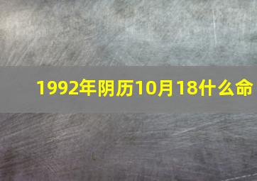 1992年阴历10月18什么命