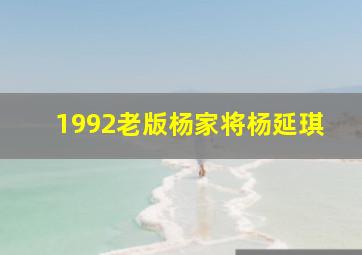 1992老版杨家将杨延琪