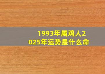 1993年属鸡人2025年运势是什么命