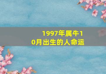 1997年属牛10月出生的人命运