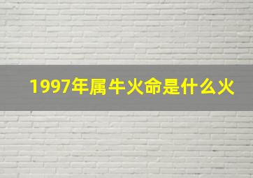 1997年属牛火命是什么火