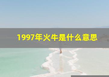 1997年火牛是什么意思