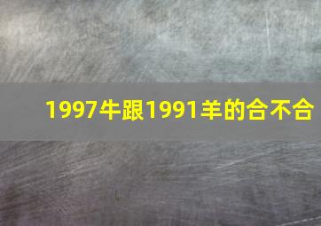 1997牛跟1991羊的合不合