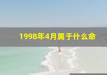 1998年4月属于什么命