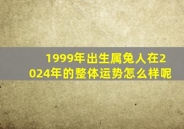 1999年出生属兔人在2024年的整体运势怎么样呢