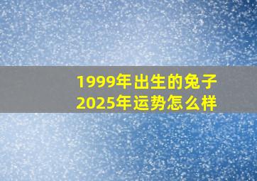 1999年出生的兔子2025年运势怎么样