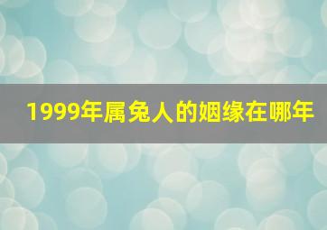 1999年属兔人的姻缘在哪年