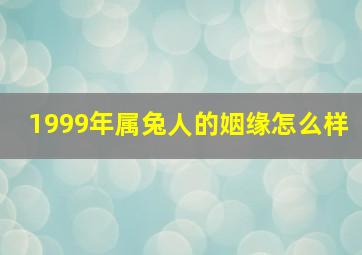 1999年属兔人的姻缘怎么样