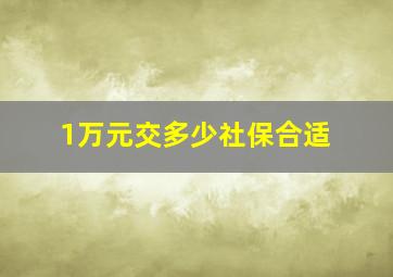 1万元交多少社保合适