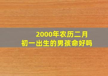 2000年农历二月初一出生的男孩命好吗