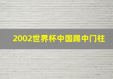 2002世界杯中国踢中门柱