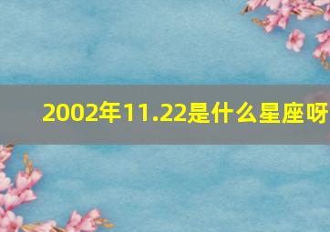 2002年11.22是什么星座呀