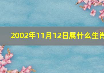 2002年11月12日属什么生肖