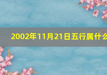 2002年11月21日五行属什么